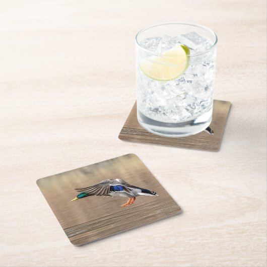 Mallard Duck im Flug Rechteckiger Pappuntersetzer (Vor Ort)