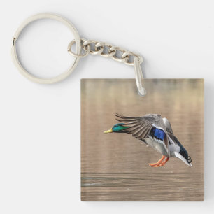 Mallard Duck im Flug Schlüsselanhänger