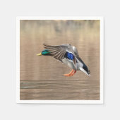 Mallard Duck im Flug Serviette (Vorderseite)