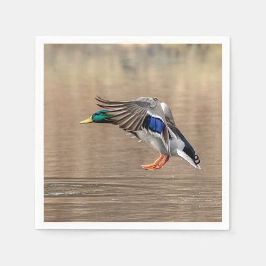 Mallard Duck im Flug Serviette (Vorderseite)