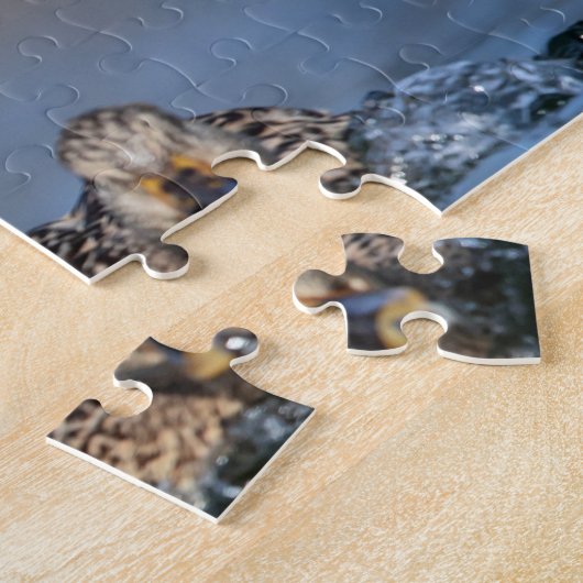 Mallard Duck im Hudson Valle Puzzle (Seite)