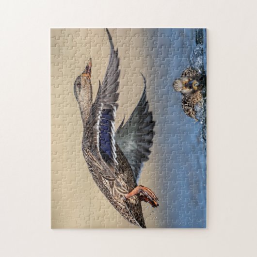 Mallard Duck im Hudson Valle Puzzle (Vertikal)