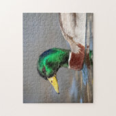 Mallard Duck im Hudson Valley Puzzle (Vertikal)