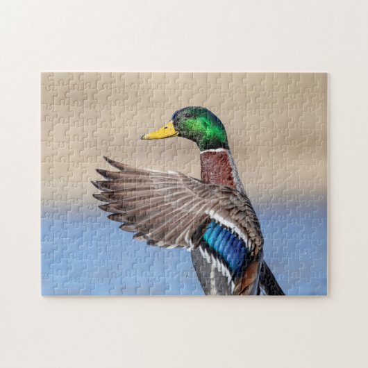 Mallard Duck im Hudson Valley Puzzle (Horizontal)