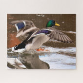 Mallard Duck in Flight Puzzle (Horizontal)