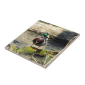 Mallard Duck in Holz dekorative Tile Fliese (Seite)