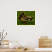 Mallard Duck in Meadow Light Poster (Küche)