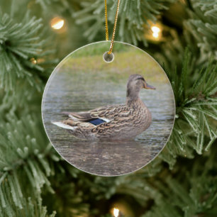 Mallard Duck in Puddle Keramik Ornament