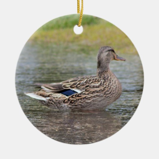 Mallard Duck in Puddle Keramik Ornament (Vorne)