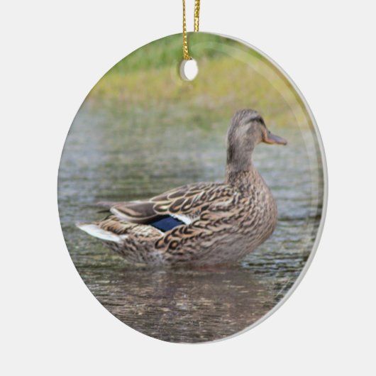 Mallard Duck in Puddle Keramik Ornament (Links)