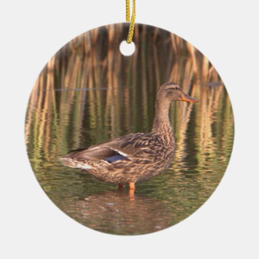Mallard Duck in Water Ornament (Vorne)