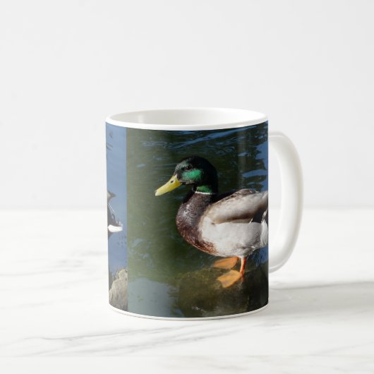 Mallard Duck Kaffeetasse (VorderseiteRechts)