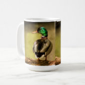 Mallard Duck Kaffeetasse (Vorderseite Links)