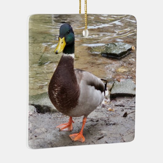 Mallard Duck Keramikornament (Rechts)