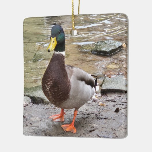 Mallard Duck Keramikornament (Links)
