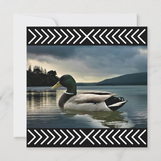 Mallard Duck Lake (Vorderseite)