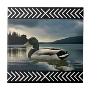 Mallard Duck Lake Fliese