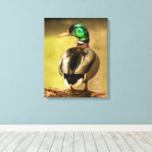Mallard Duck Leinwanddruck (Insitu (Holzboden))