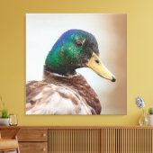 Mallard Duck Leinwanddruck (Insitu (Wohnzimmer))