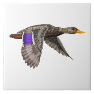 Mallard Duck Lovers Fliese