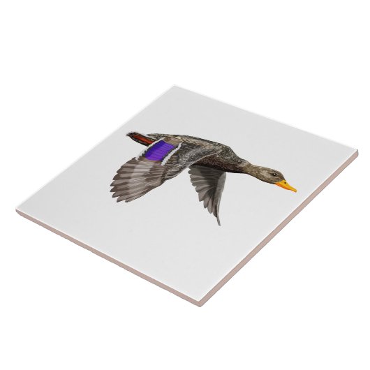 Mallard Duck Lovers Fliese (Seite)