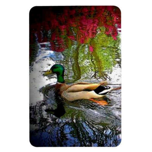 Mallard Duck Magnet (Vertikal)