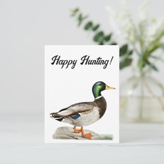 Mallard Duck Malerei für Jäger und Outdoorsmen Postkarte (Stehend Vorderseite)