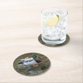 Mallard Duck (männlich)Paper-Untersetzer Runder Pappuntersetzer (Vor Ort)