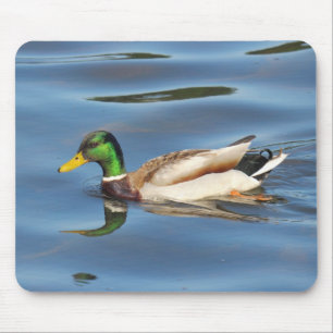 Mallard Duck Mousepad