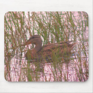 Mallard Duck Nature Mousepad