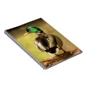 Mallard Duck Notizblock (Rechte Seite)