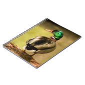 Mallard Duck Notizblock (Linke Seite)