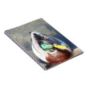 Mallard Duck Notizblock (Rechte Seite)