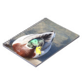 Mallard Duck Notizblock (Linke Seite)