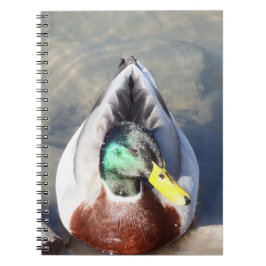 Mallard Duck Notizblock