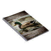 Mallard Duck Notizblock (Rechte Seite)
