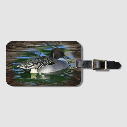 Mallard Duck on Lake Gepäckanhänger (Vorderseite (Horizontal))