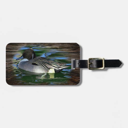 Mallard Duck on Lake Gepäckanhänger (Vorderseite horizontal)