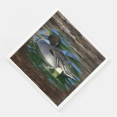 Mallard Duck on Lake Serviette (Ecke)