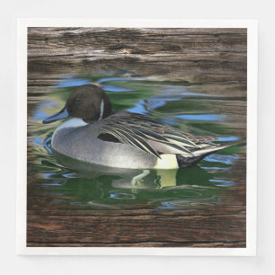 Mallard Duck on Lake Serviette