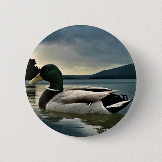 Mallard Duck on The Lake Button (Vorderseite)