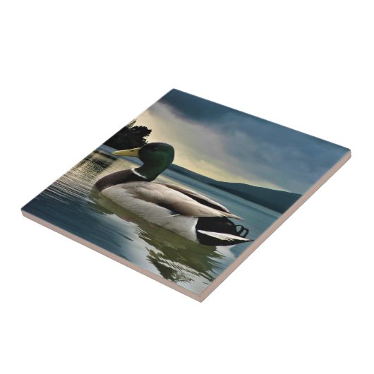 Mallard Duck on The Lake Fliese (Seite)