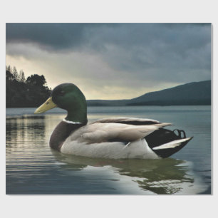 Mallard Duck on The Lake Geschenkpapier