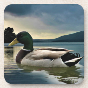 Mallard Duck on The Lake Getränkeuntersetzer