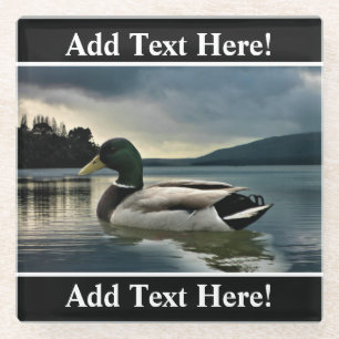 Mallard Duck on The Lake Glasuntersetzer