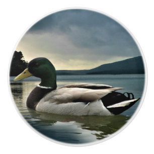 Mallard Duck on The Lake Keramikknauf