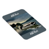 Mallard Duck on The Lake Magnet (Rechte Seite)
