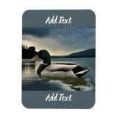 Mallard Duck on The Lake Magnet (Vertikal)