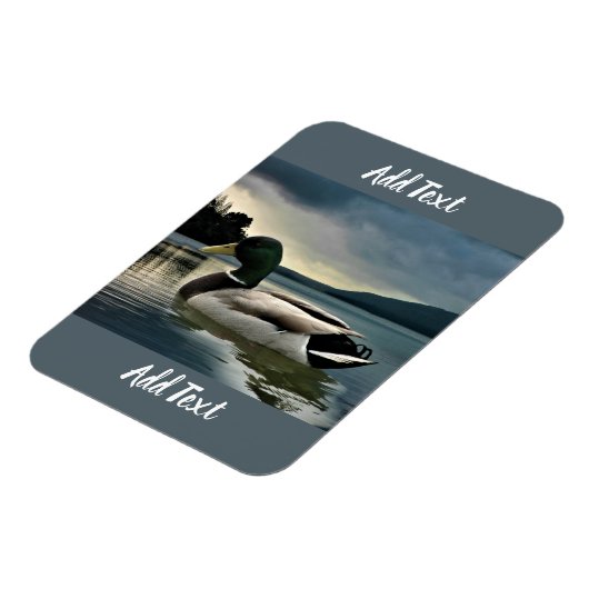 Mallard Duck on The Lake Magnet (Linke Seite)
