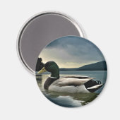 Mallard Duck on The Lake Magnet (Vorderseite/Rückseite)